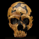 Illustration for article titled Want to hear a neanderthal say the letter E?
